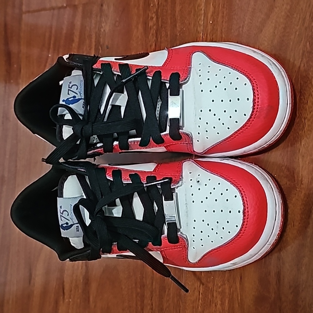 Nike Dunk Low EMB “NBA 75th Anniversary Chicago”